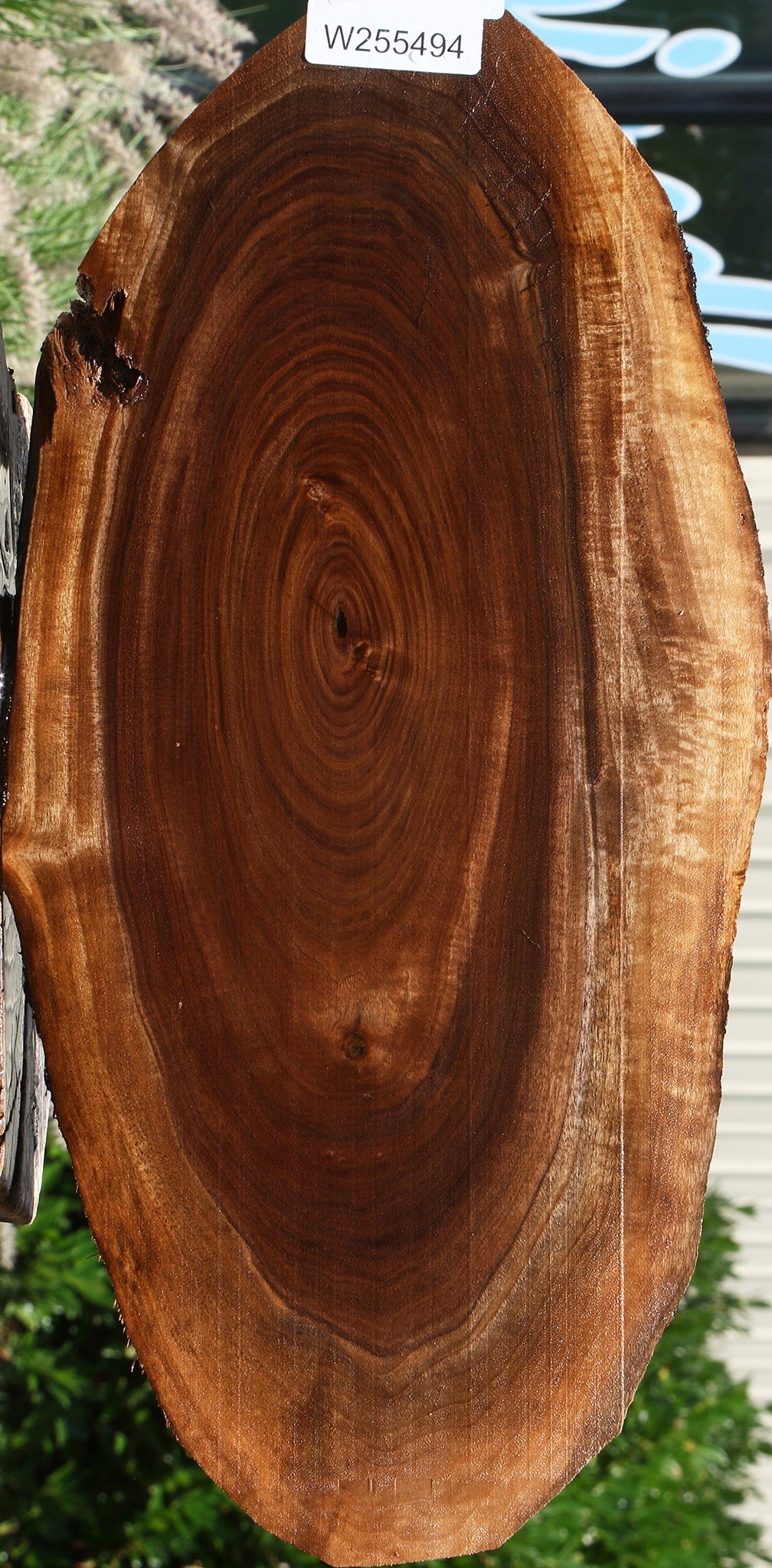 Claro Walnut Cookie