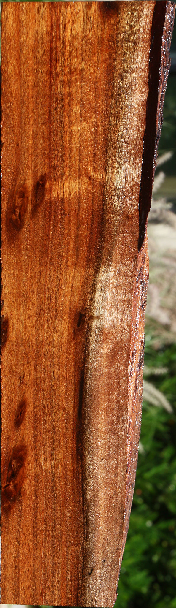 Figured Hawaiian Koa Live Edge Lumber