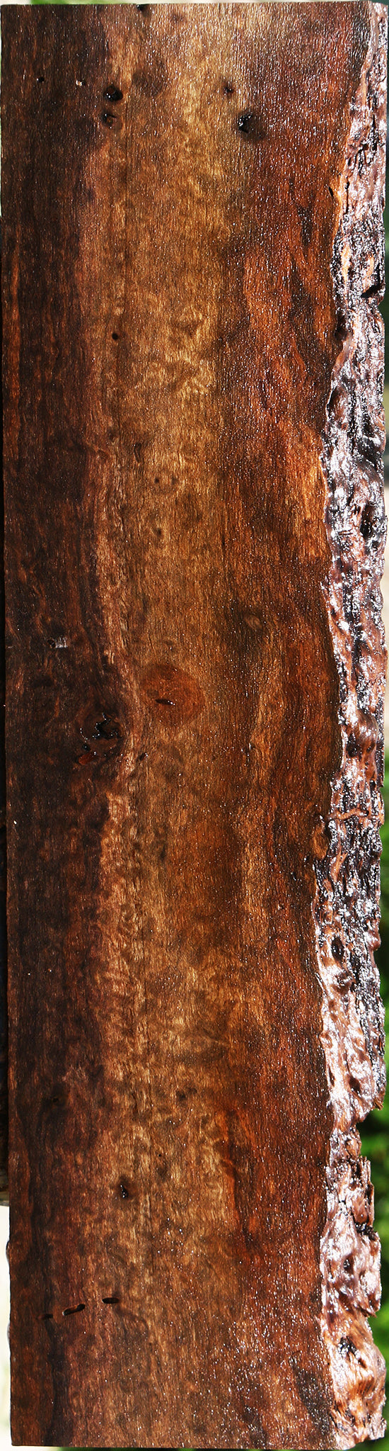 Extra Fancy Claro Walnut Live Edge Lumber