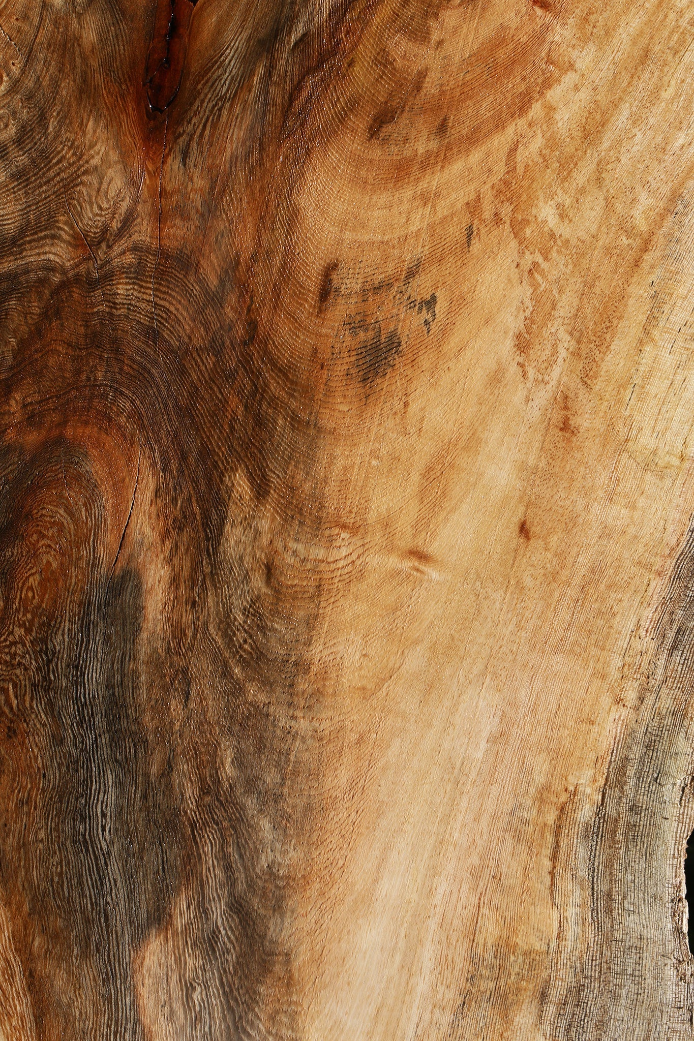 Spalted Hackberry Cookie