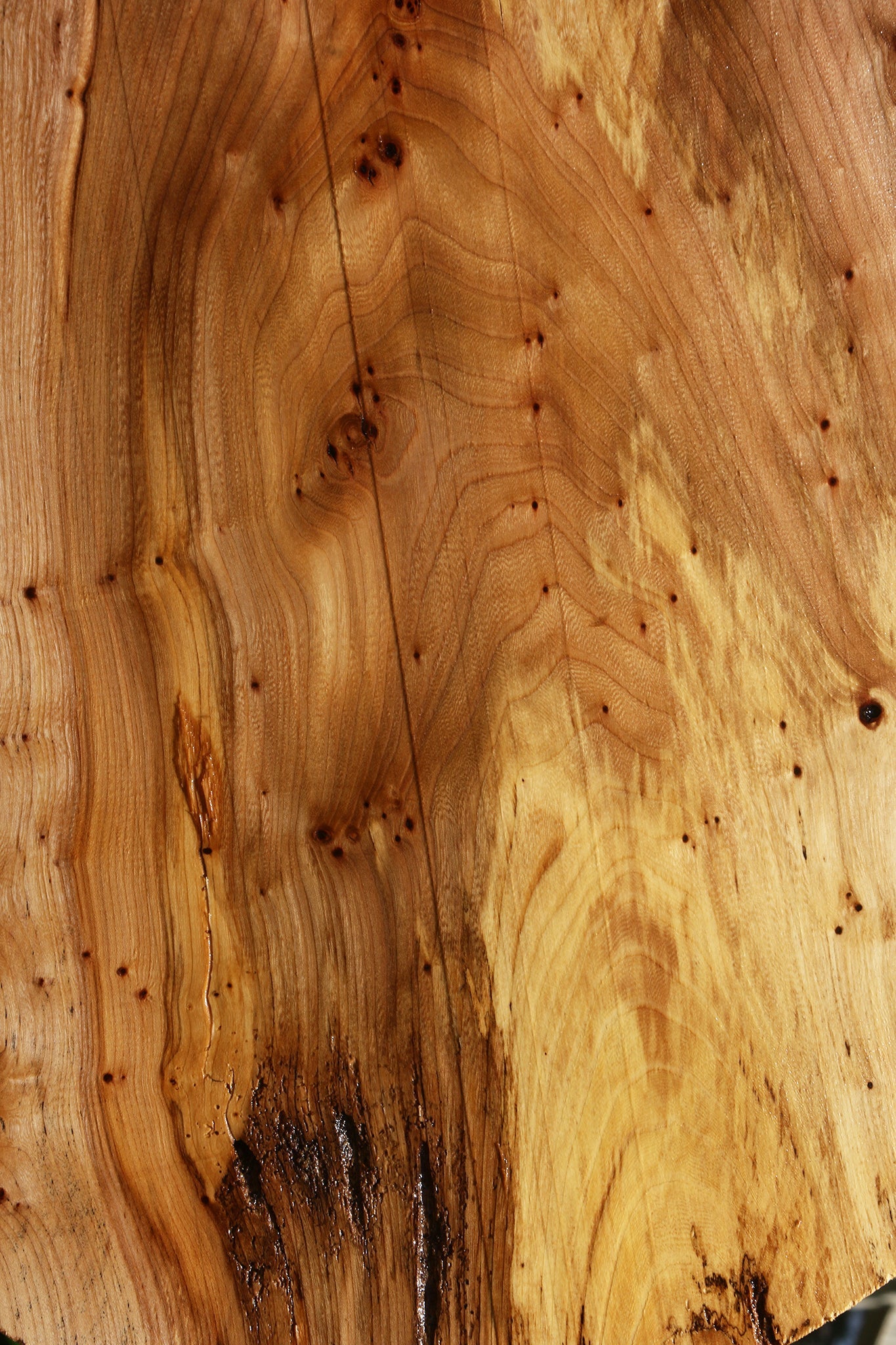 Extra Fancy Elm Burl Cookie