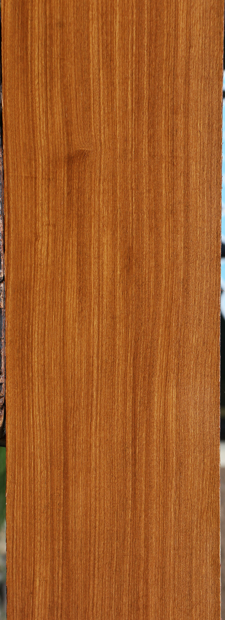 Afrormosia Lumber