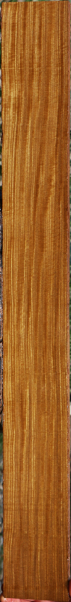 Extra Fancy Quartersawn Afrormosia Lumber