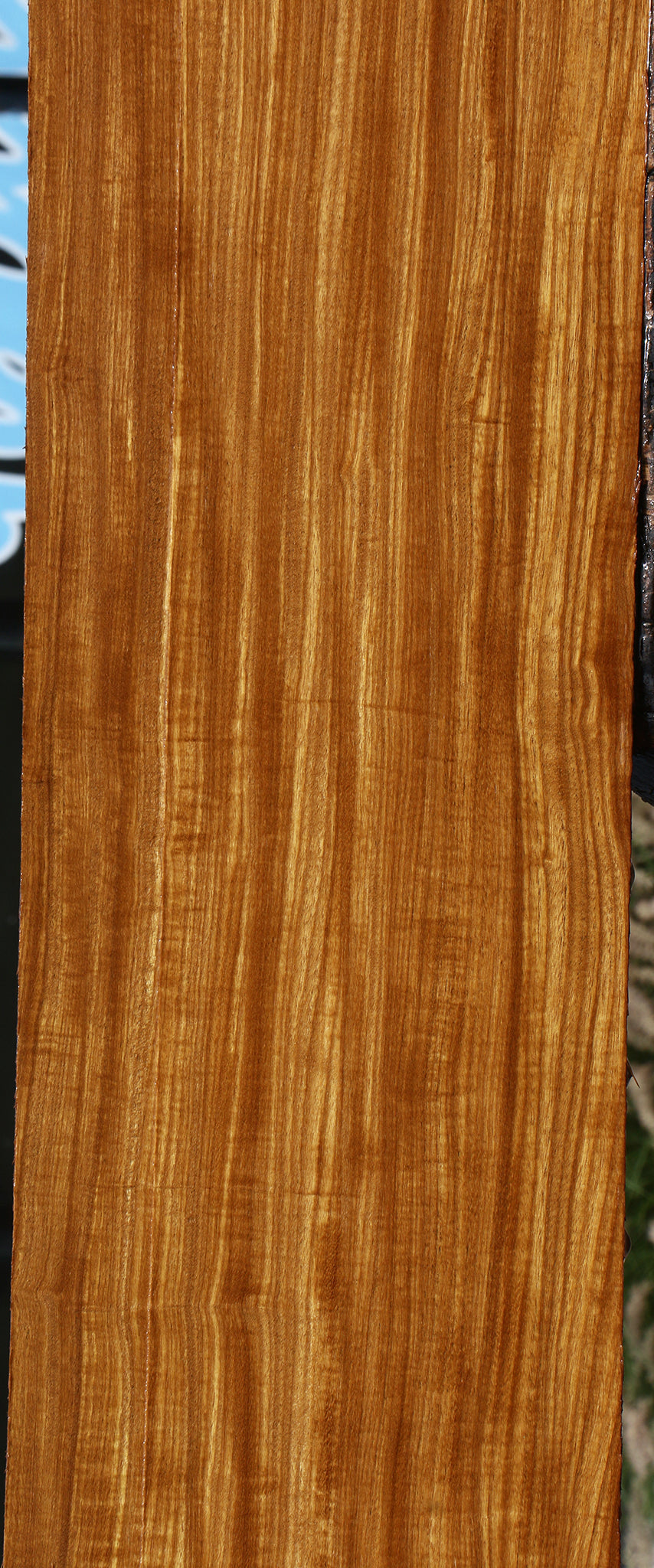 Extra Fancy Afrormosia Lumber