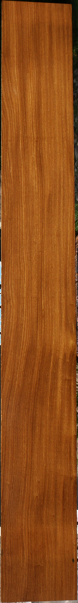 Afrormosia Lumber