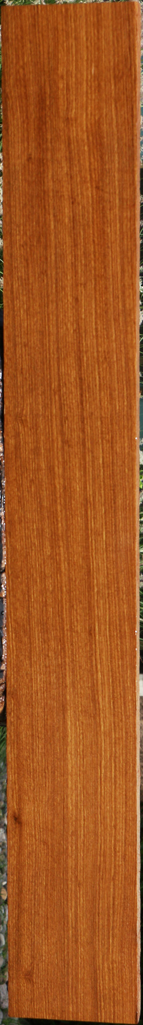 Afrormosia Lumber