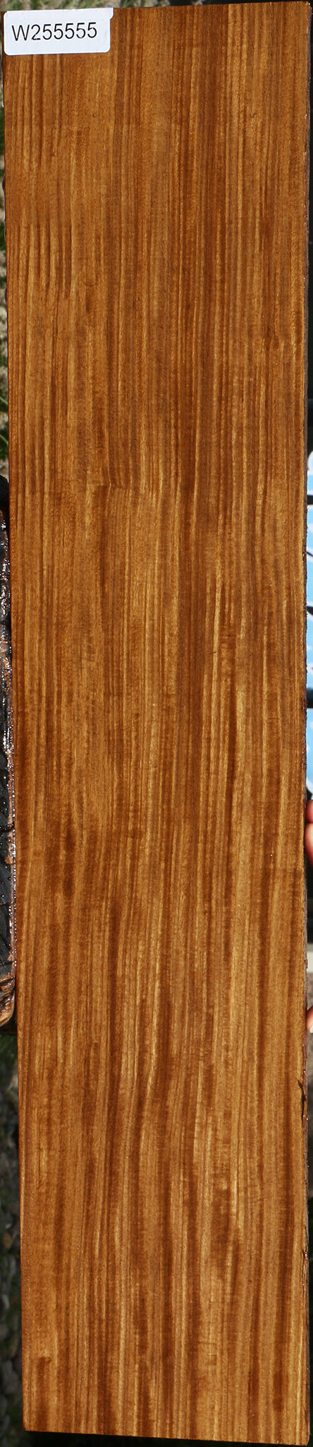 Extra Fancy Quartersawn Afrormosia Lumber