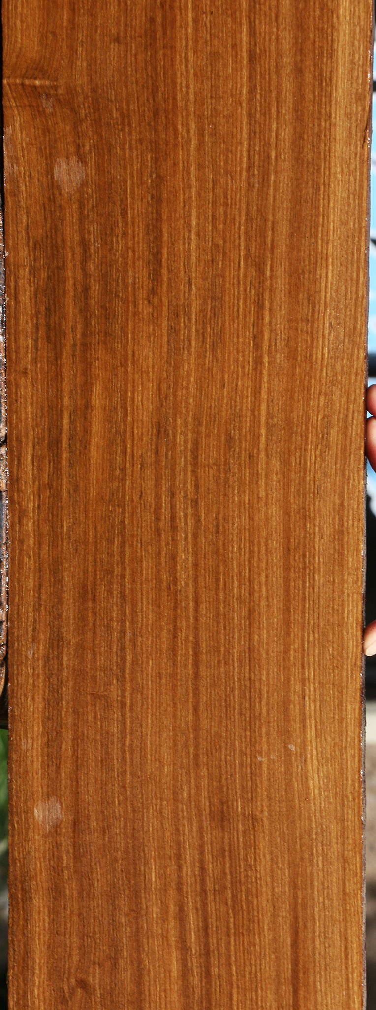 Figured Afrormosia Lumber