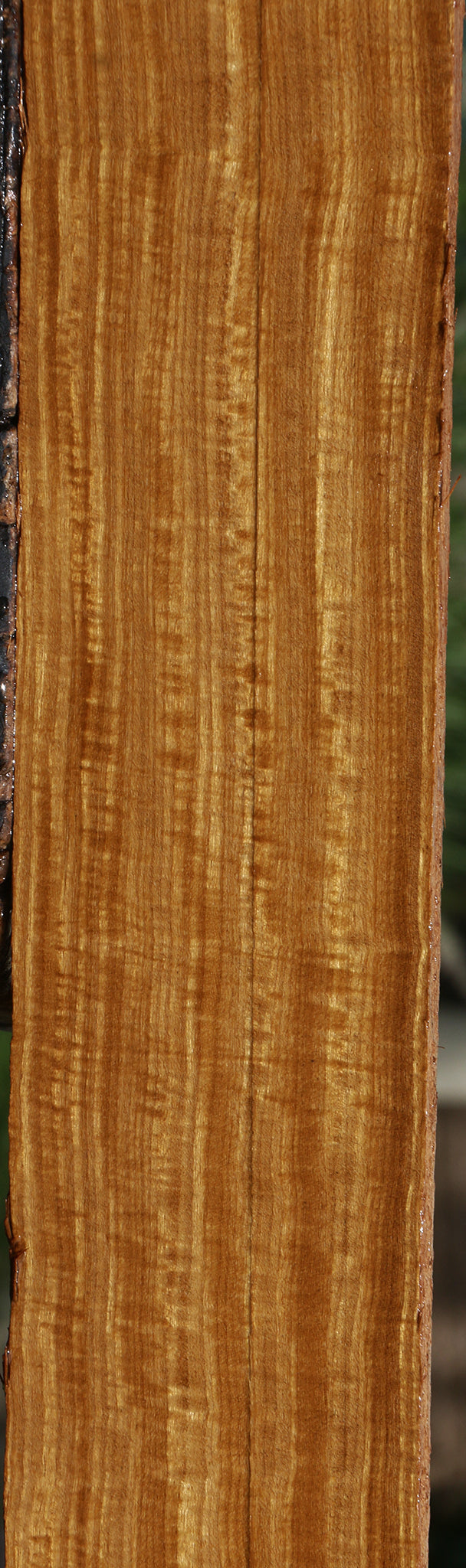 Extra Fancy Quartersawn Afrormosia Lumber