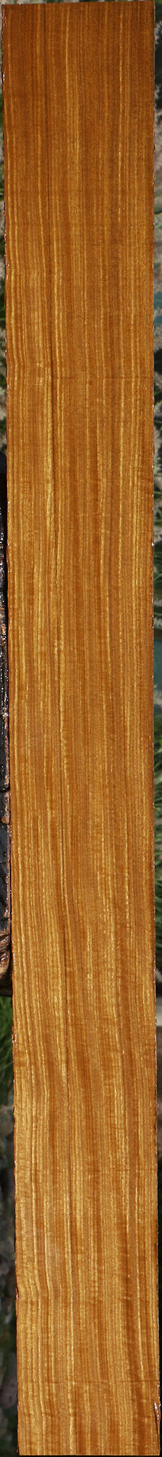 Extra Fancy Quartersawn Afrormosia Lumber