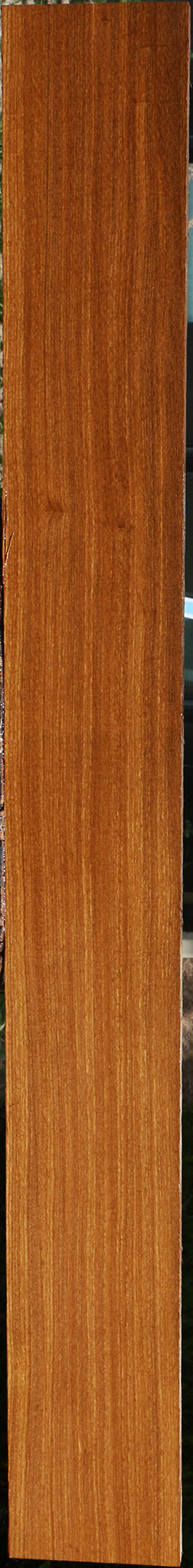 Afrormosia Lumber