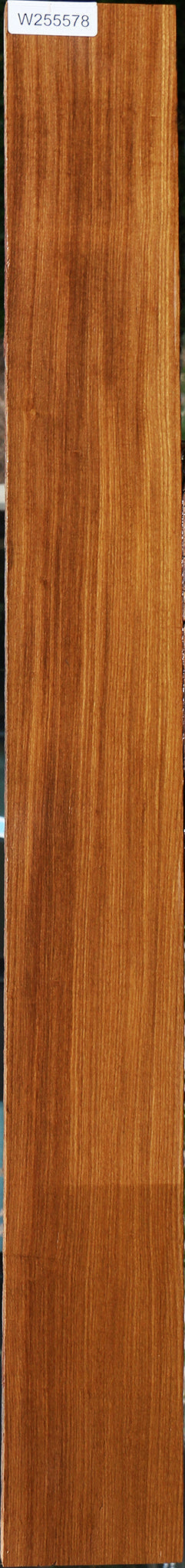 Afrormosia Lumber