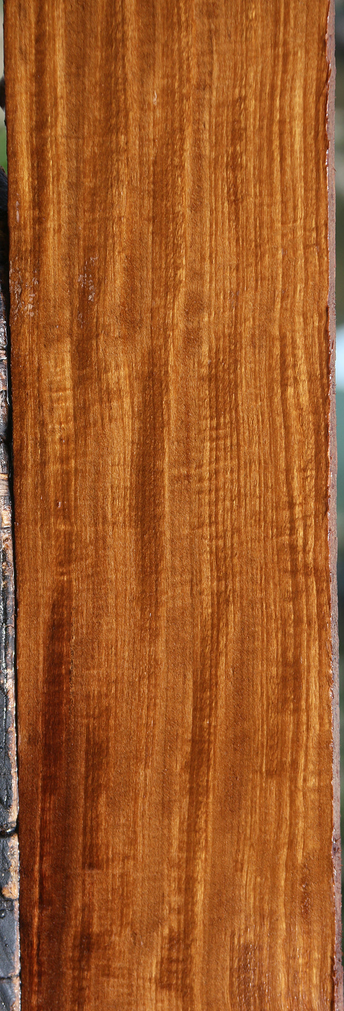Extra Fancy Quartersawn Afrormosia Lumber