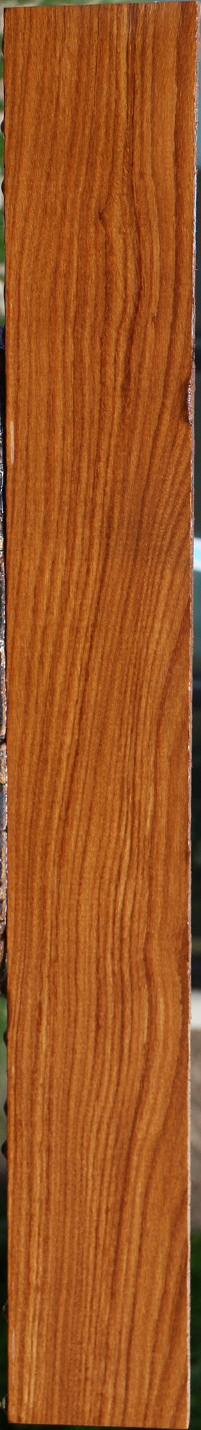 Afrormosia Lumber