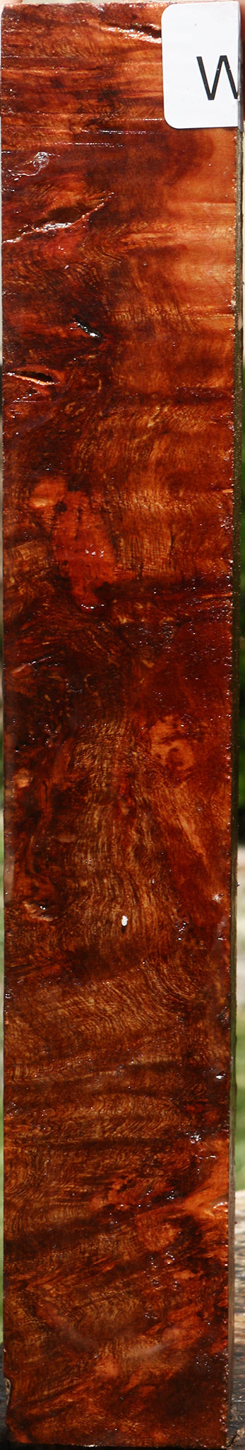 Rustic Camphor Burl Turning Square