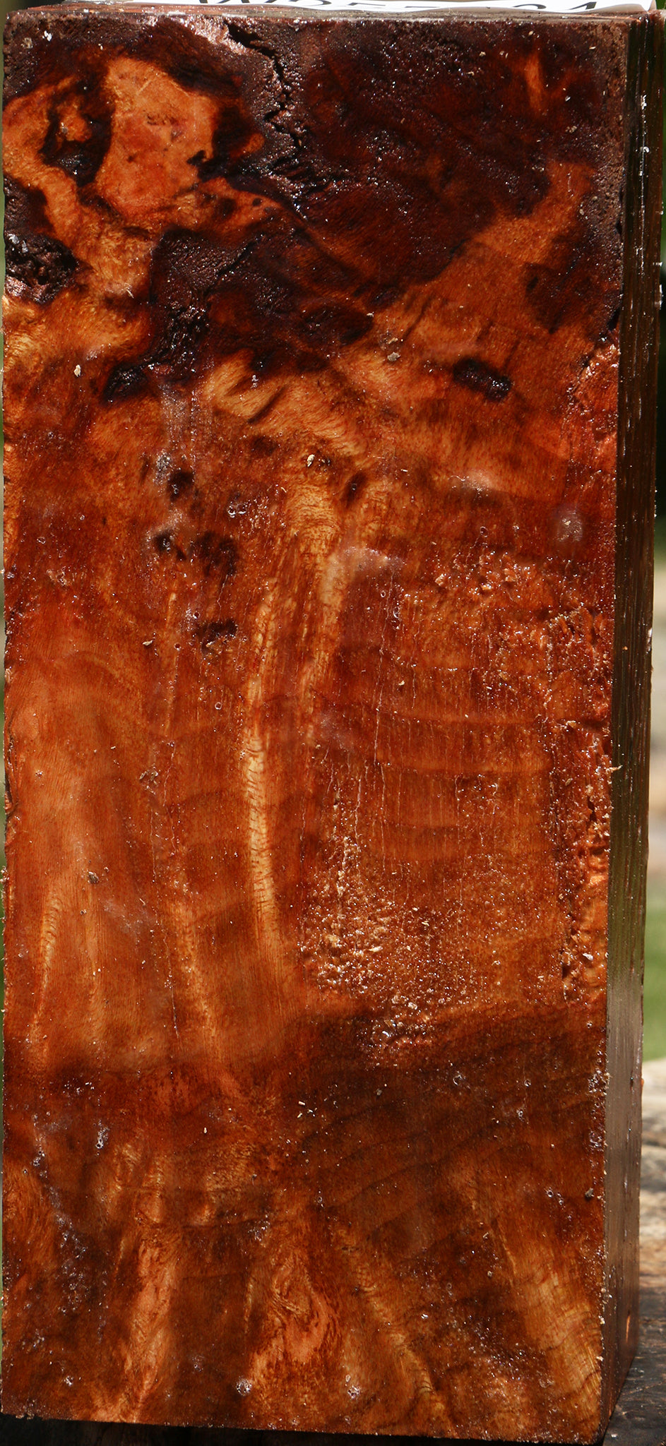 Rustic Afzelia Burl Turning Blank