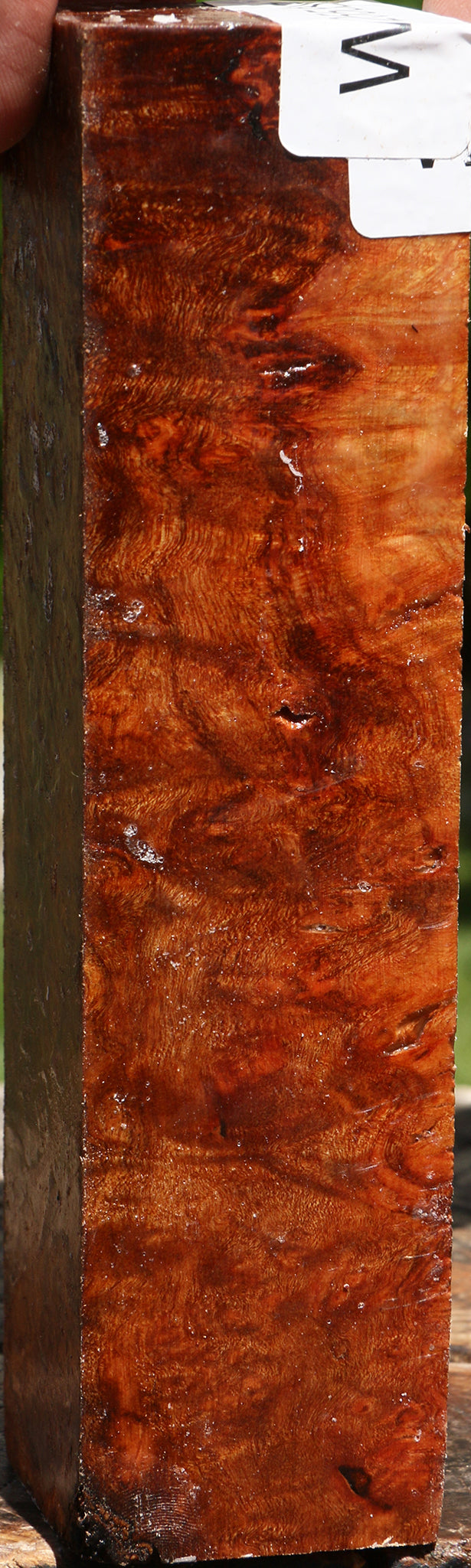 Afzelia Burl Turning Square