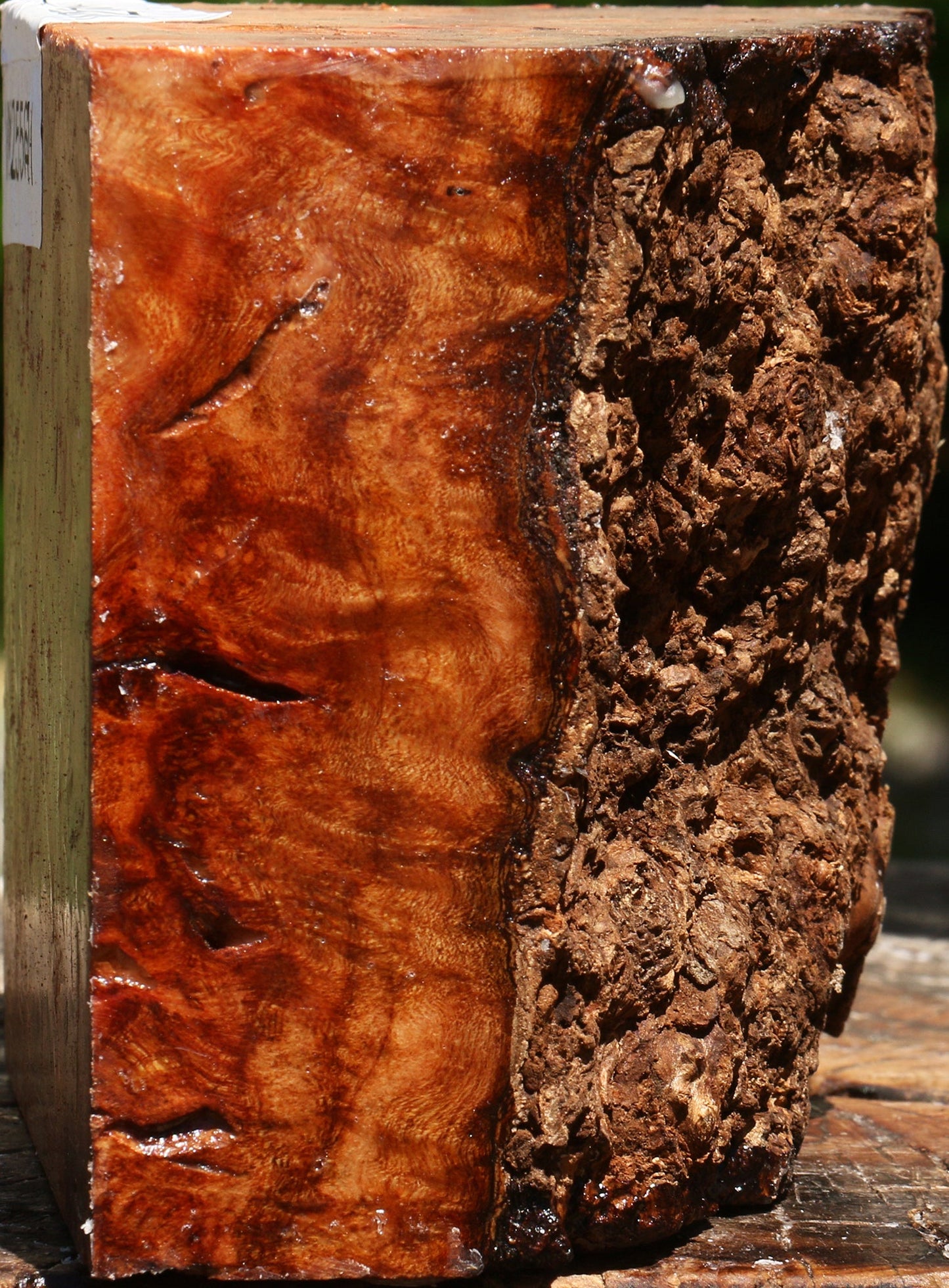 Afzelia Burl Live Edge Bowl Blank