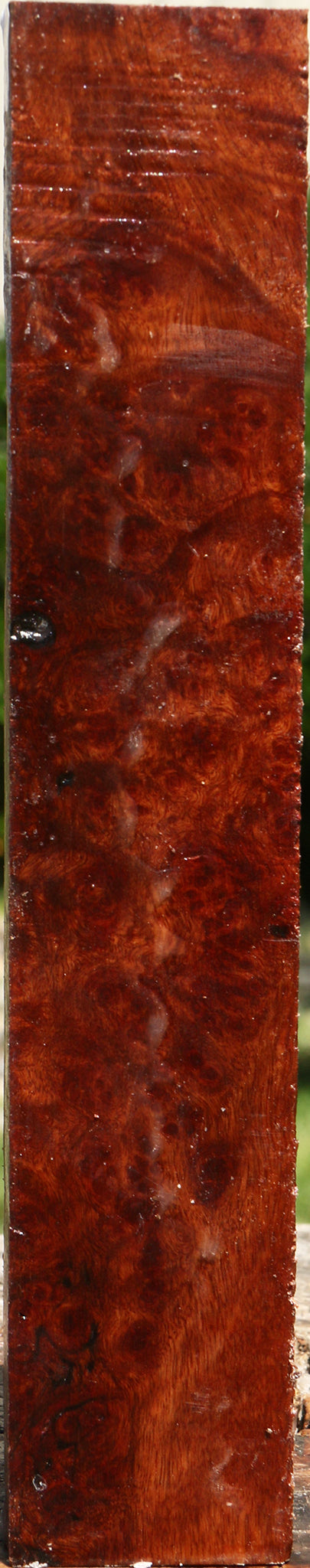 Afzelia Burl Turning Blank