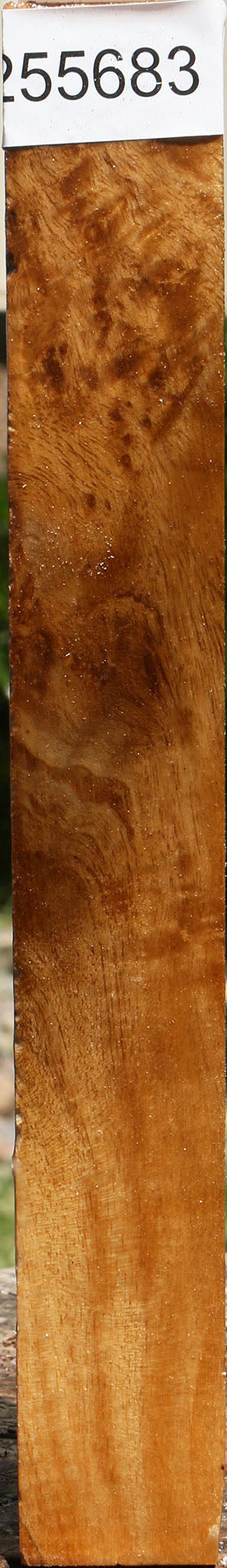 Almond Burl Turning Square