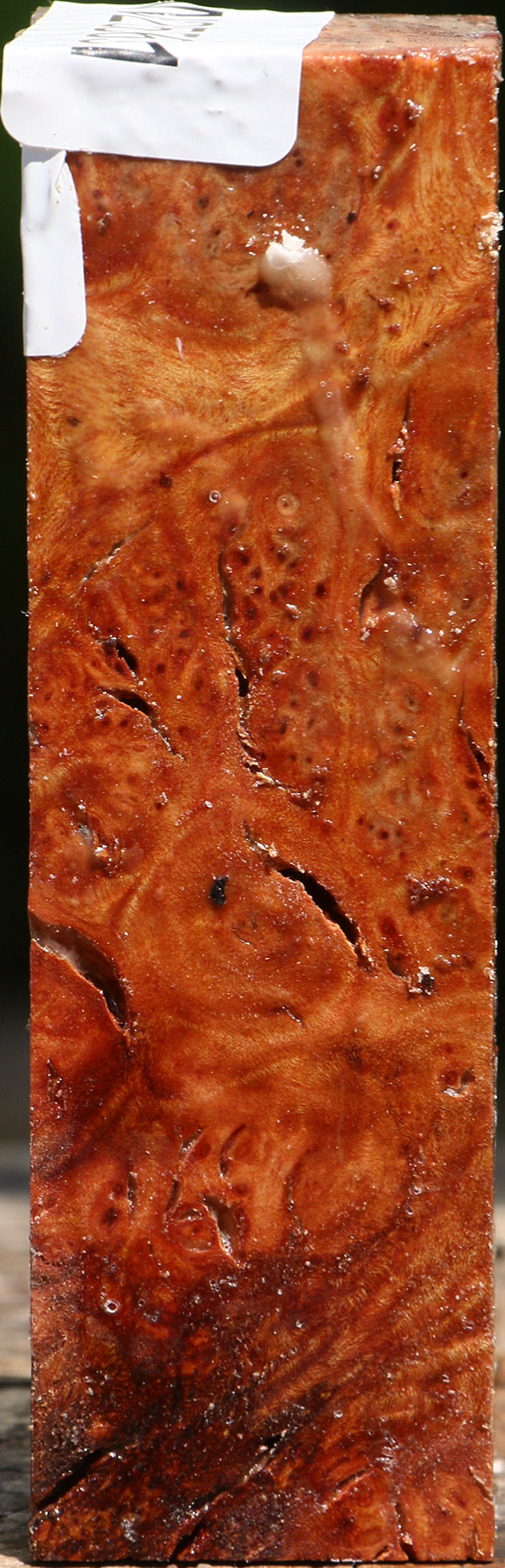 Rustic Afzelia Burl Turning Blank