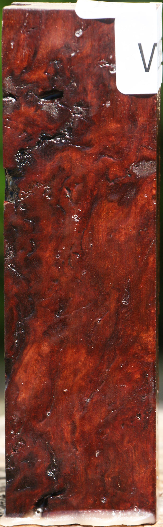 Rustic Afzelia Burl Turning Square