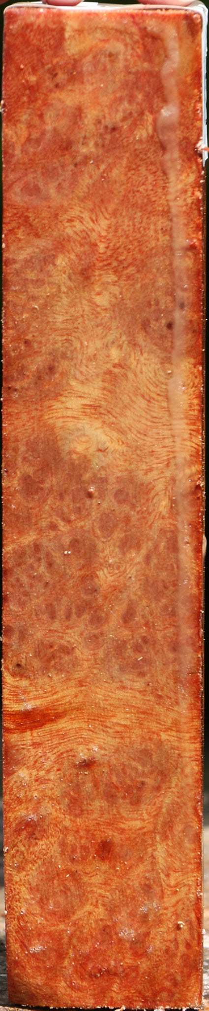 Afzelia Burl Turning Square