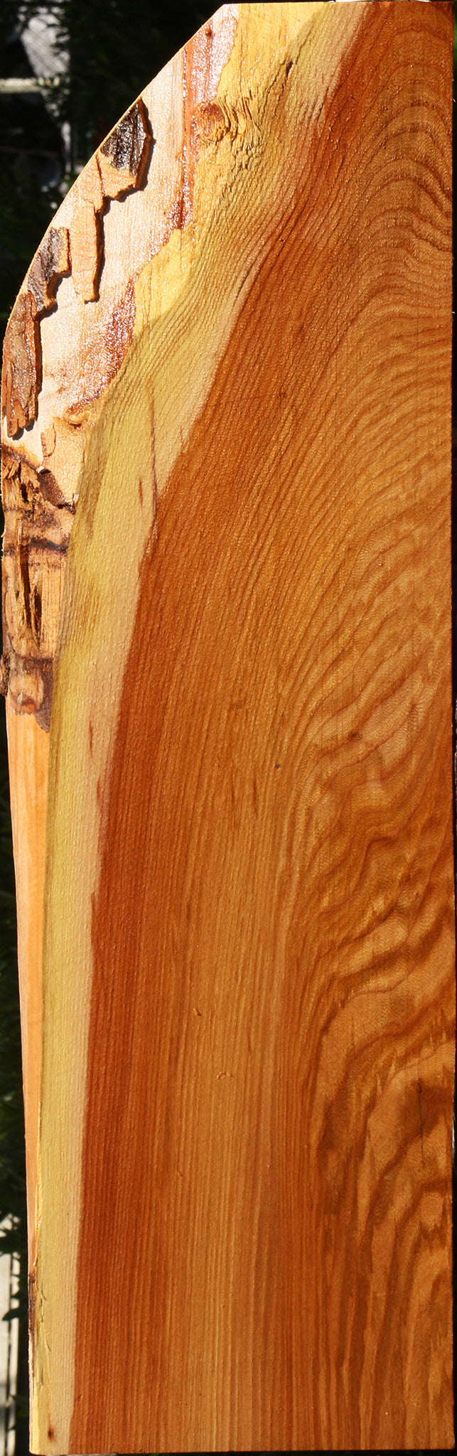 Figured Chinese Elm Lumber
