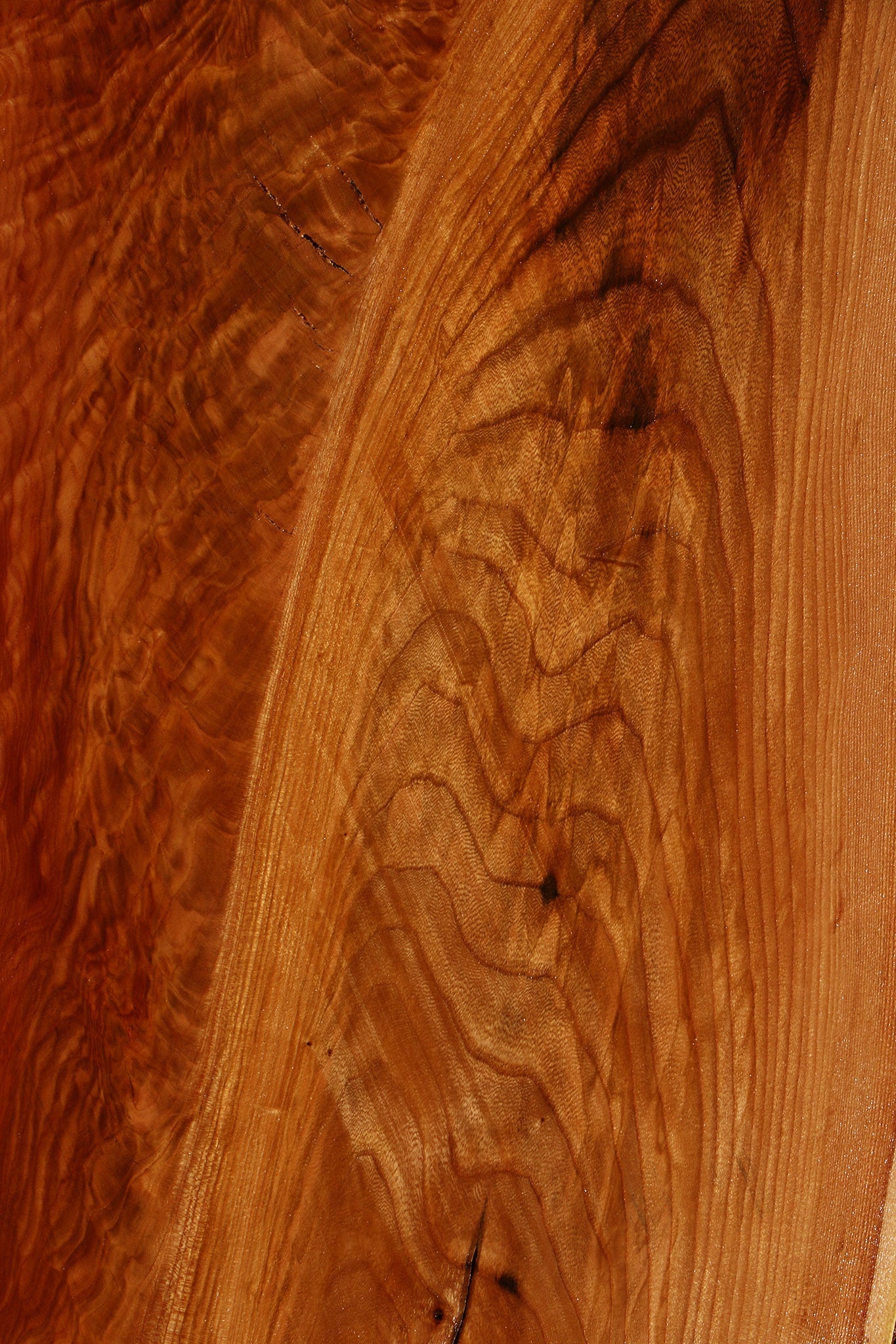 Extra Fancy Chinese Elm Live Edge Slab (Freight Shipping Required)