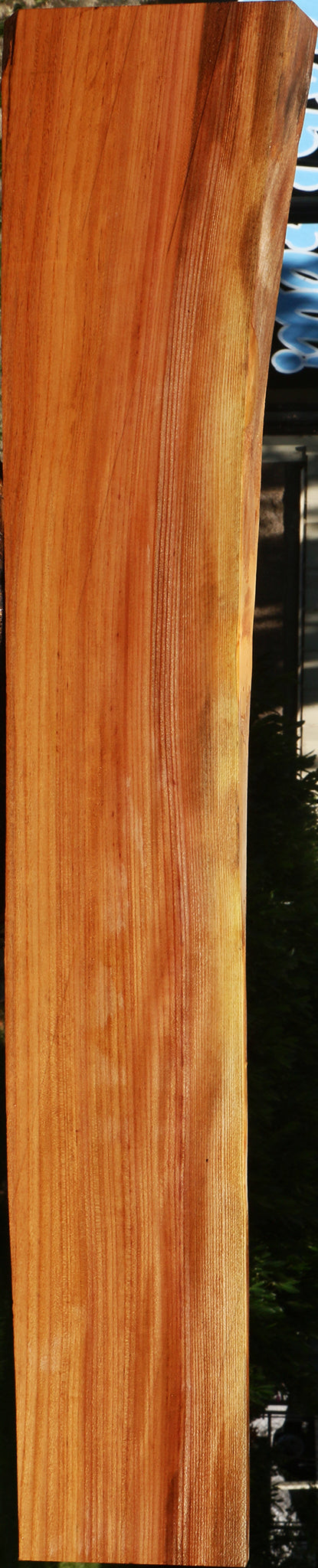 Chinese Elm Live Edge Lumber