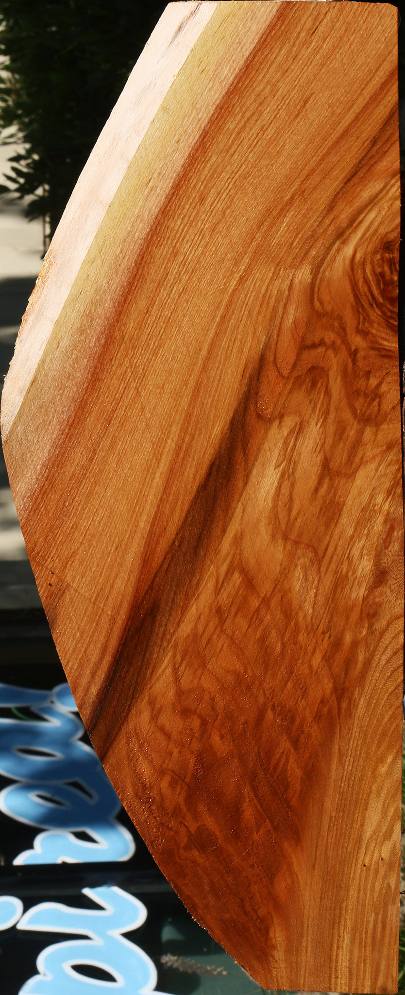 Figured Chinese Elm Lumber