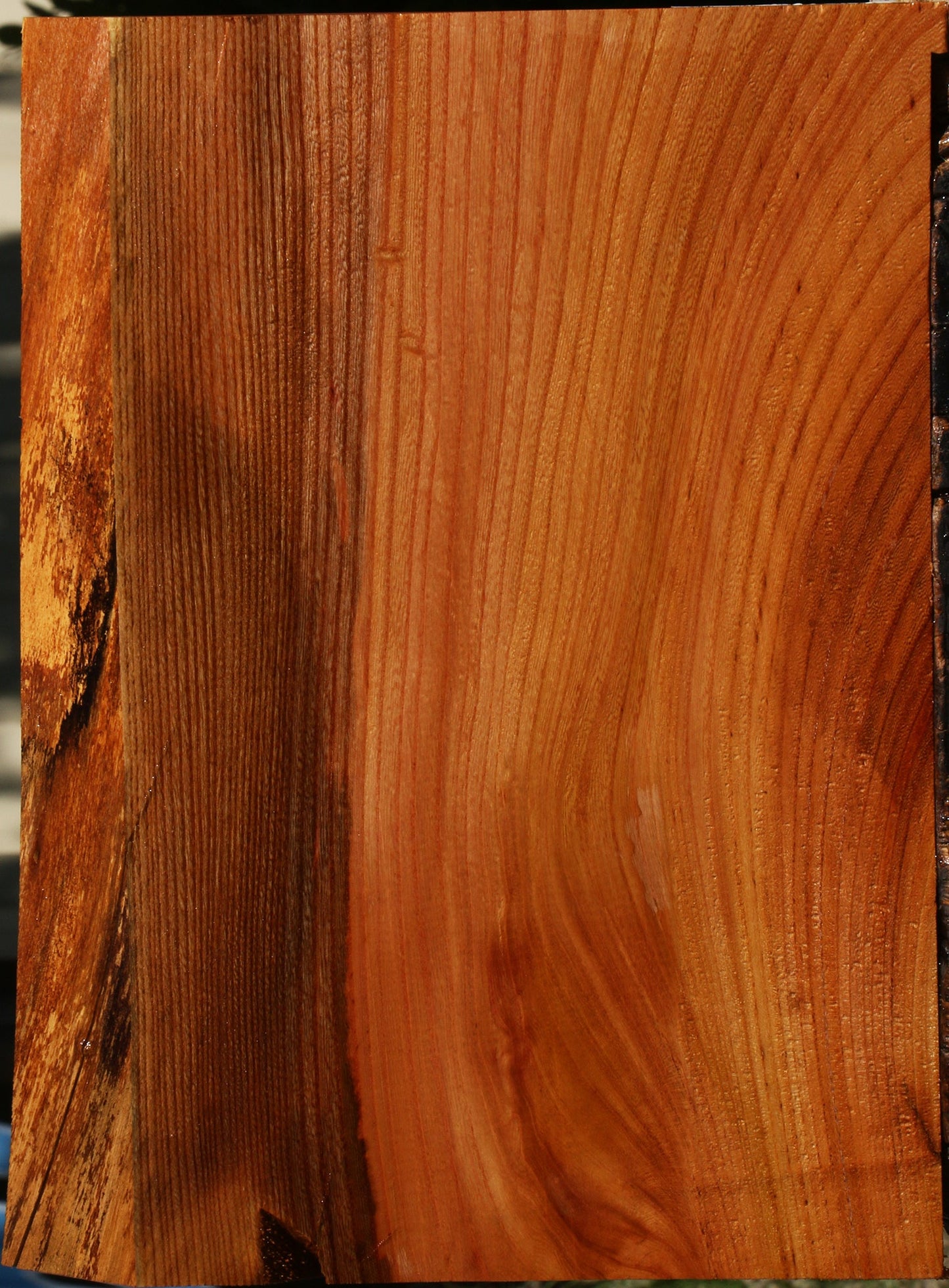 Chinese Elm Live Edge Lumber
