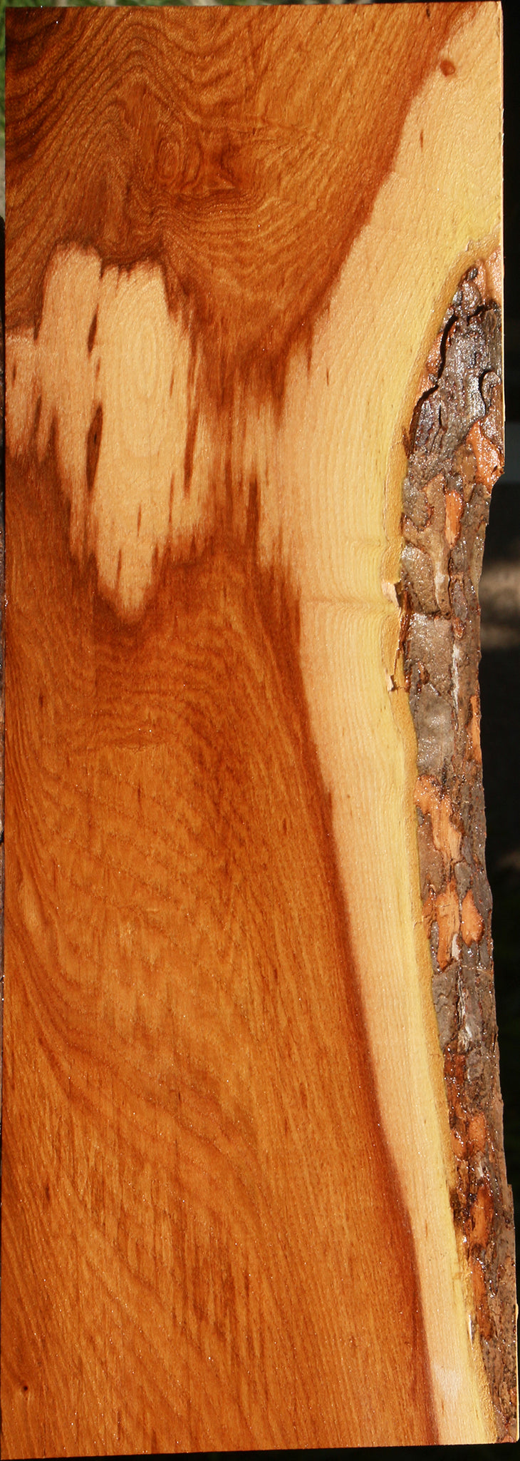 Chinese Elm Live Edge Lumber