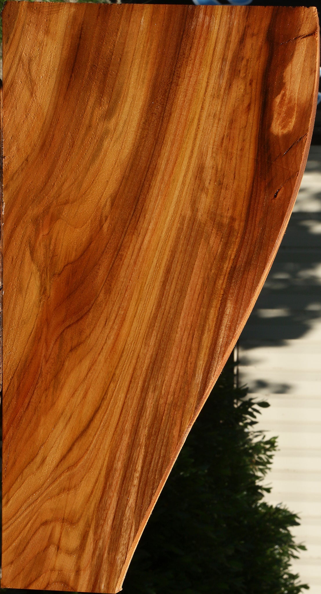 Chinese Elm Lumber