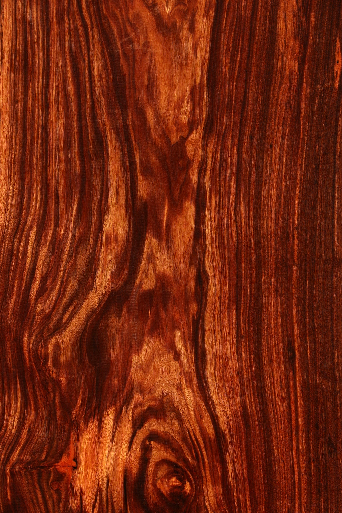 Figured Patagonian Rosewood Live Edge Lumber