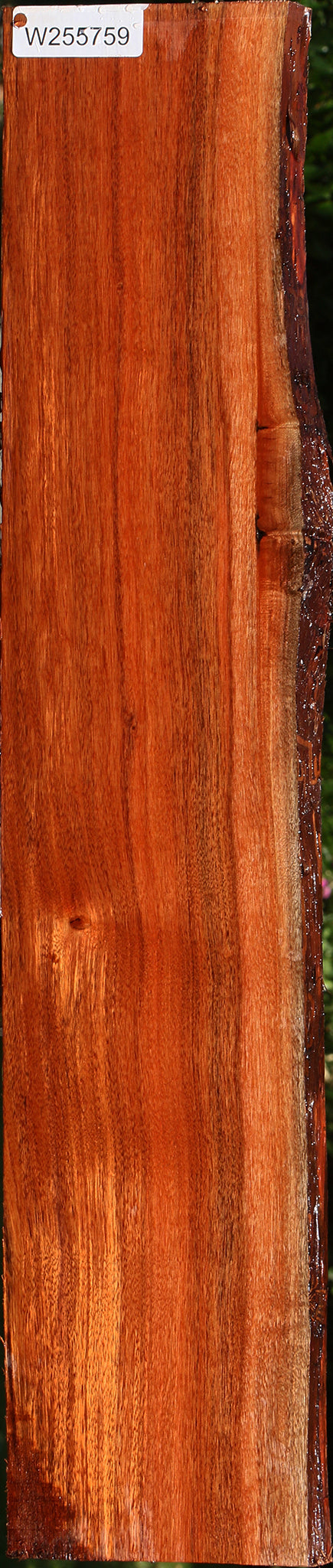 Patagonian Rosewood Live Edge Lumber