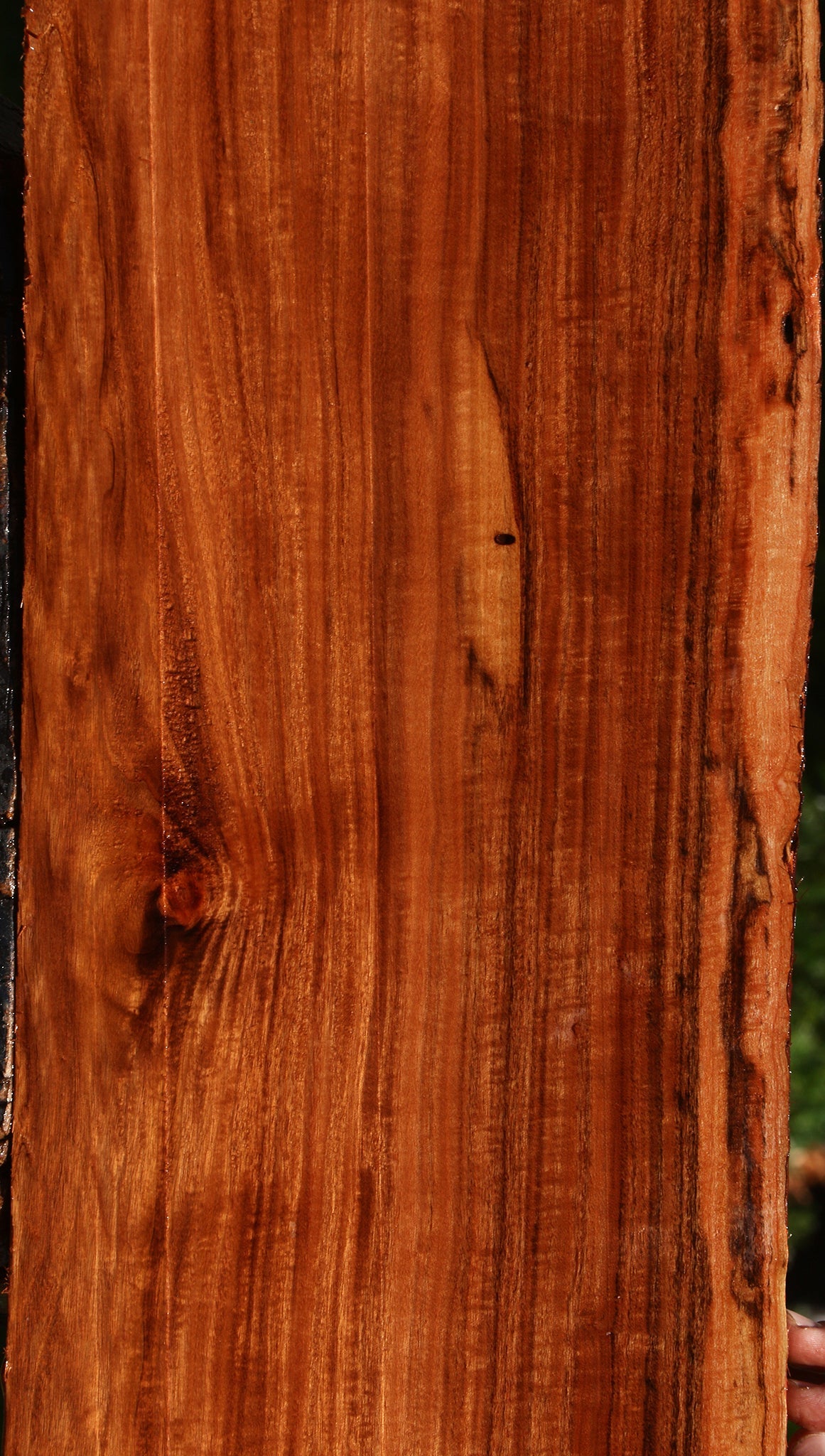 Extra Fancy Patagonian Rosewood Live Edge Lumber