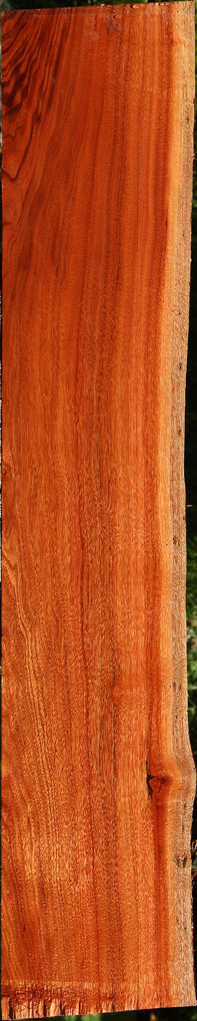 Patagonian Rosewood Live Edge Lumber