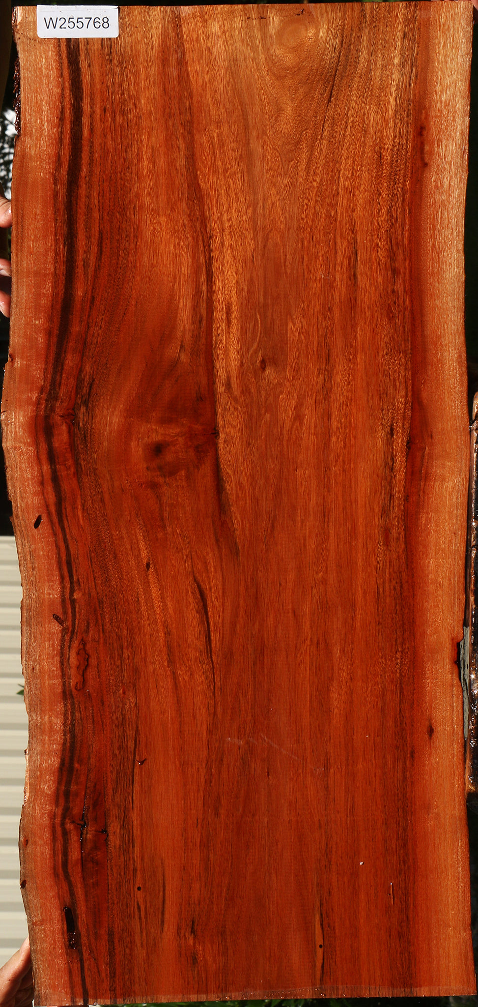 Figured Patagonian Rosewood Live Edge Lumber