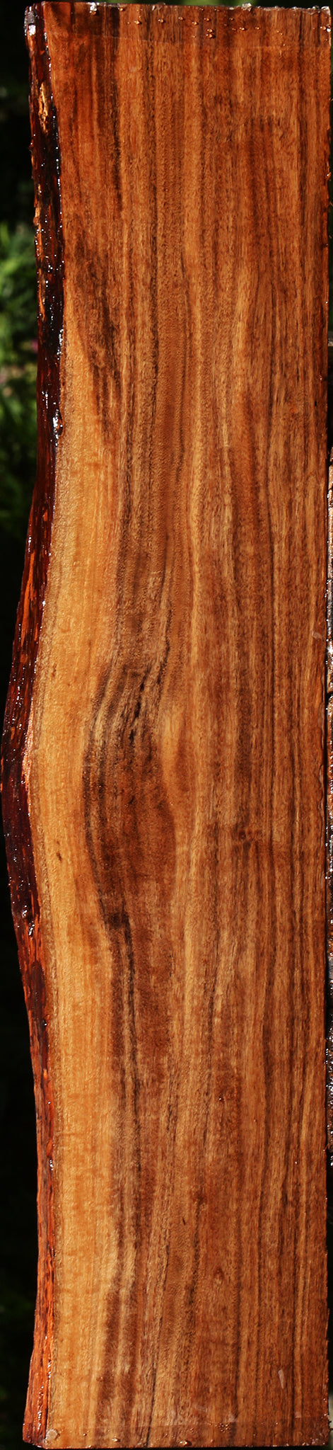 Extra Fancy Patagonian Rosewood Live Edge Lumber