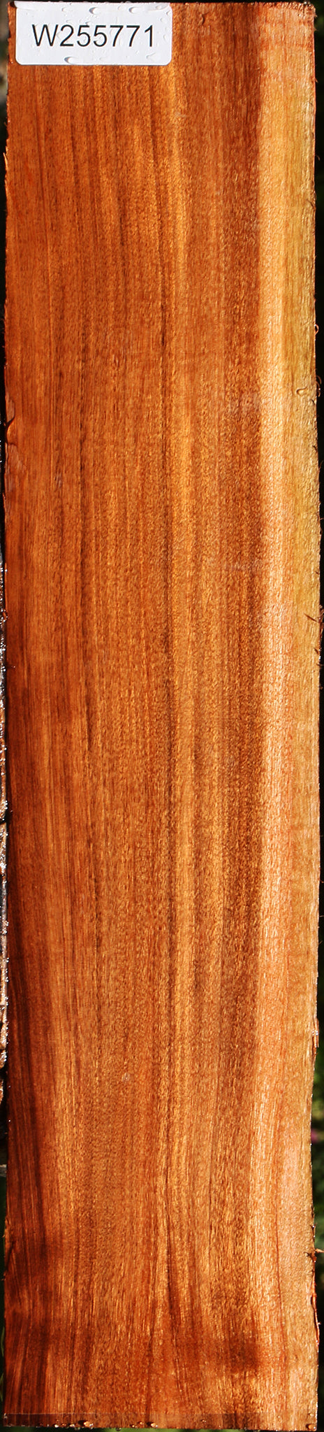 Patagonian Rosewood Live Edge Lumber