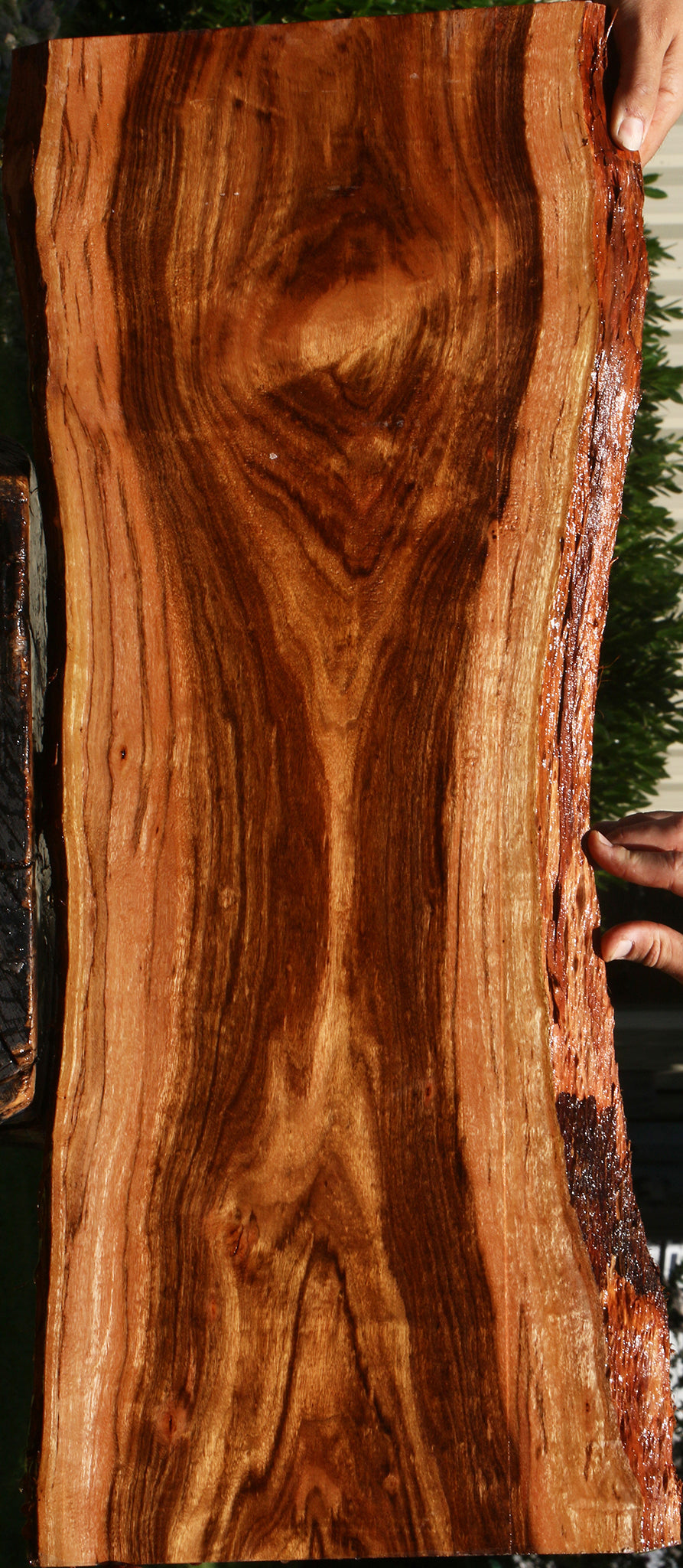 Figured Patagonian Rosewood Live Edge Lumber