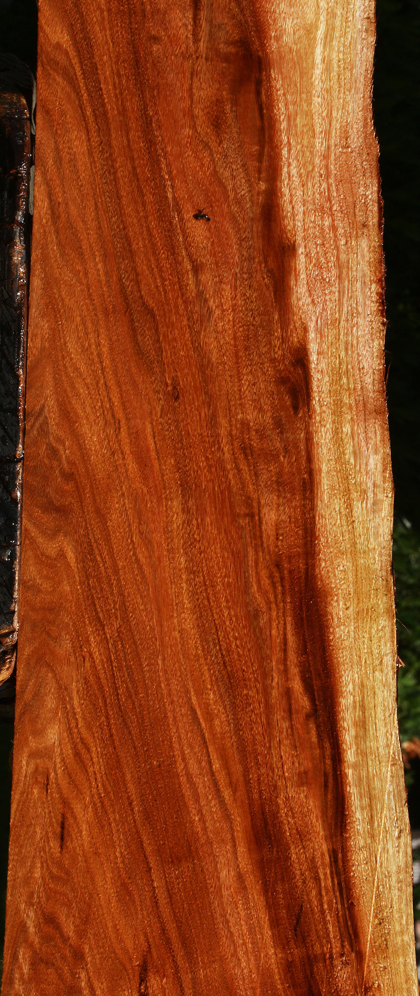 Extra Fancy Patagonian Rosewood Live Edge Lumber