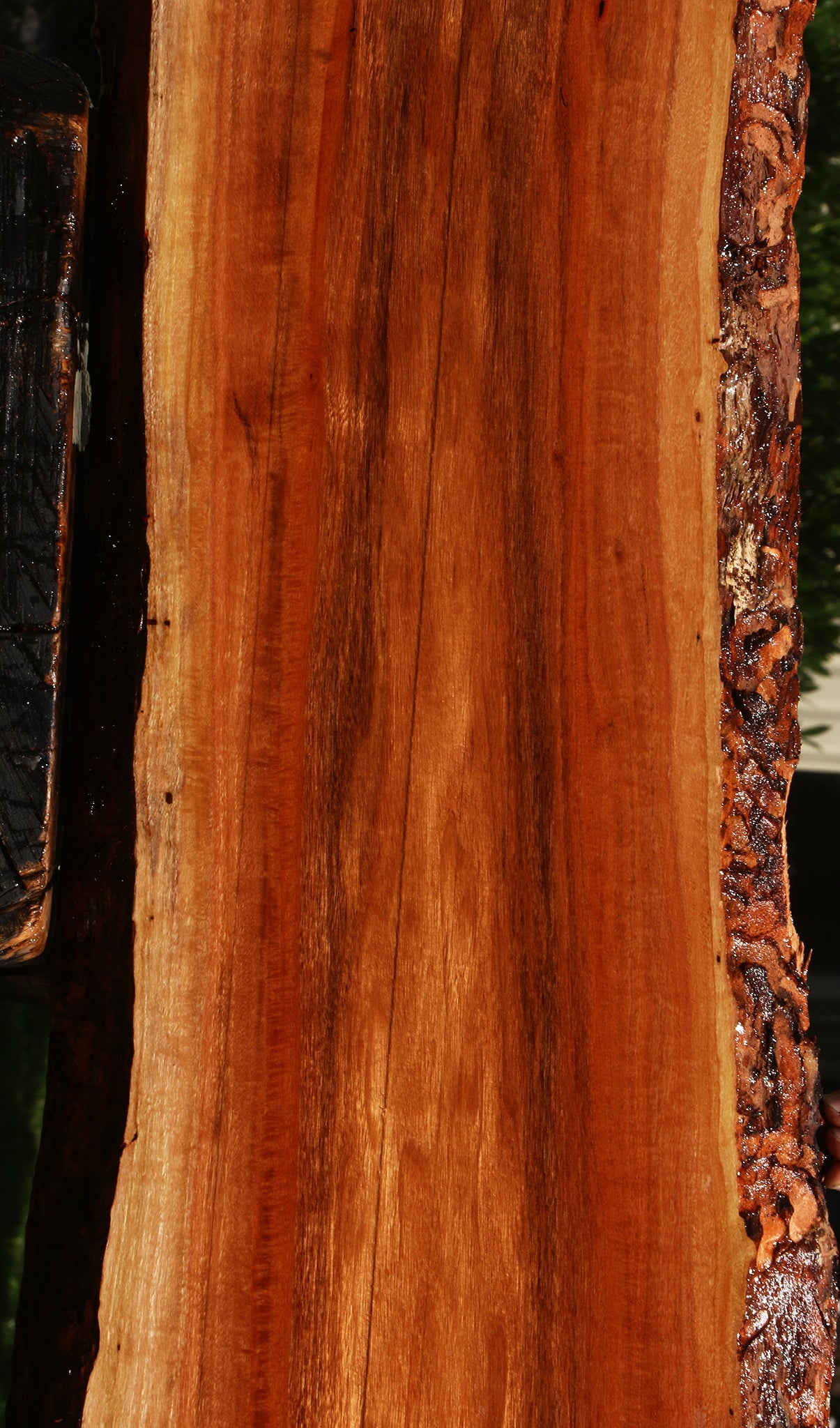 Patagonian Rosewood Live Edge Lumber