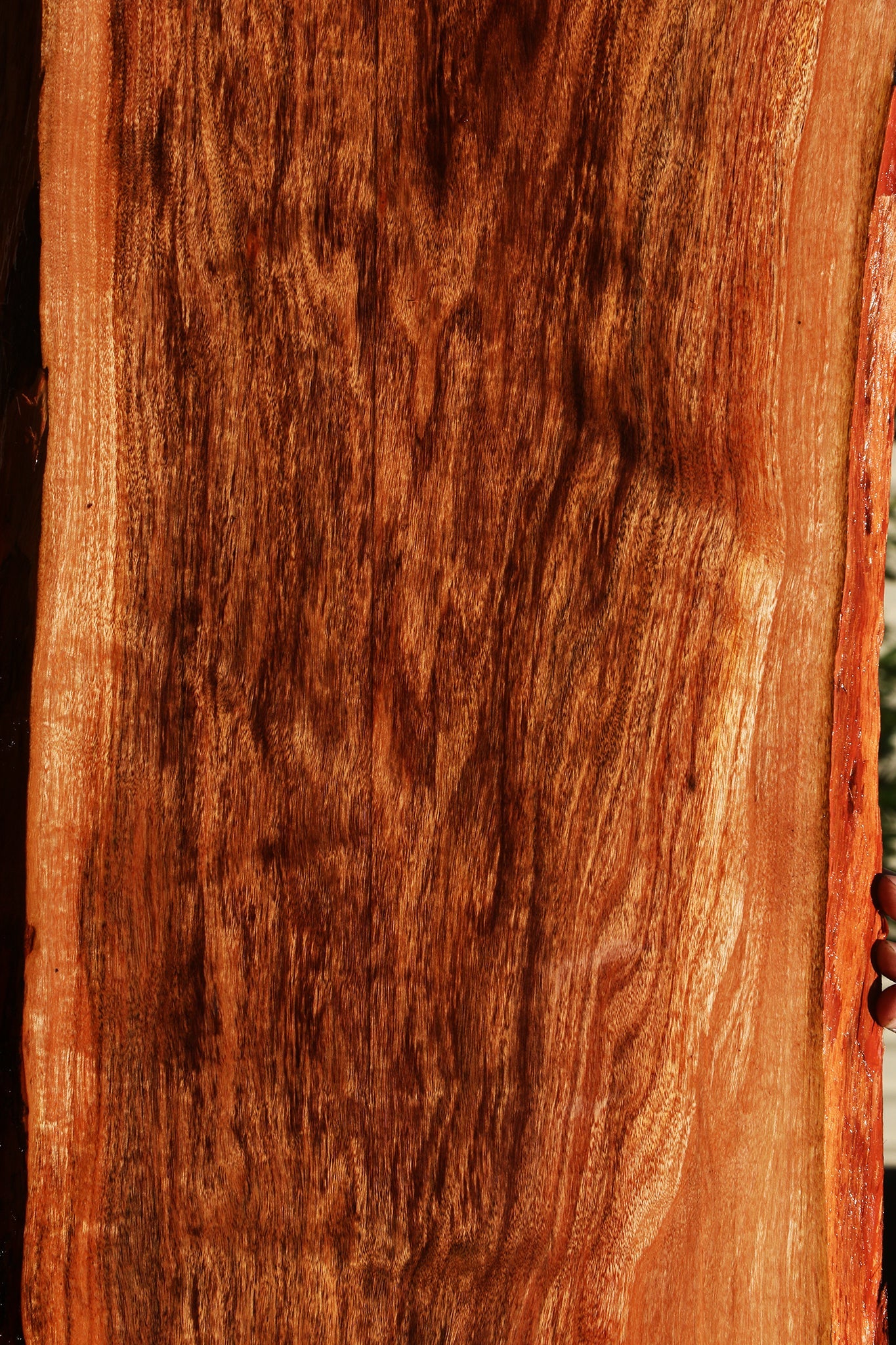 Extra Fancy Patagonian Rosewood Live Edge Lumber