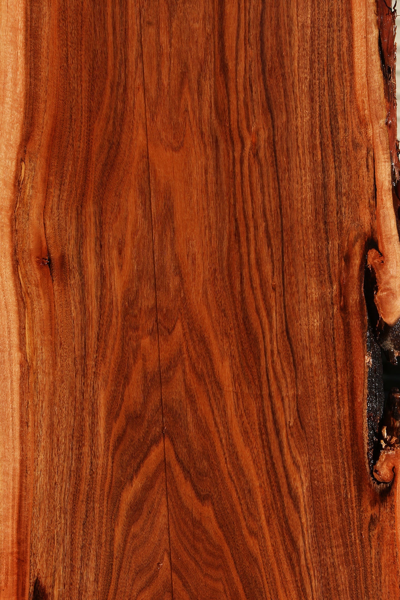 Figured Patagonian Rosewood Live Edge Lumber