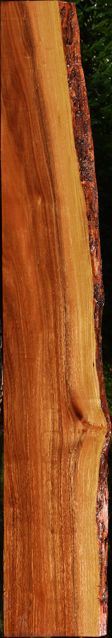 Patagonian Rosewood Live Edge Lumber