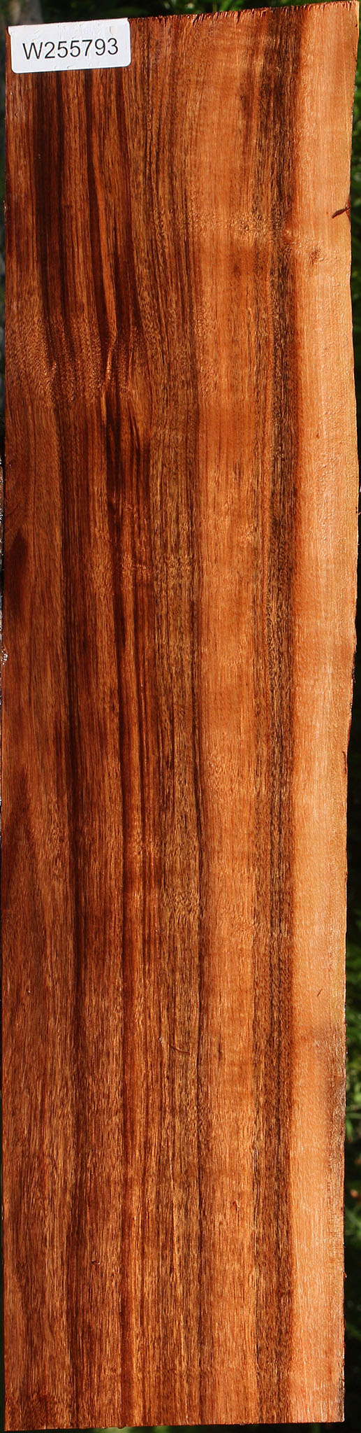 Figured Patagonian Rosewood Live Edge Lumber