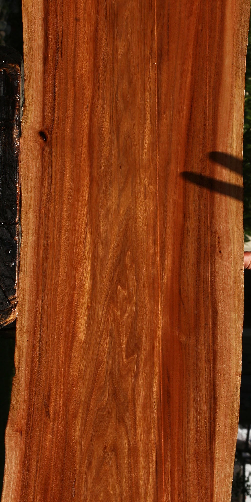 Patagonian Rosewood Live Edge Lumber