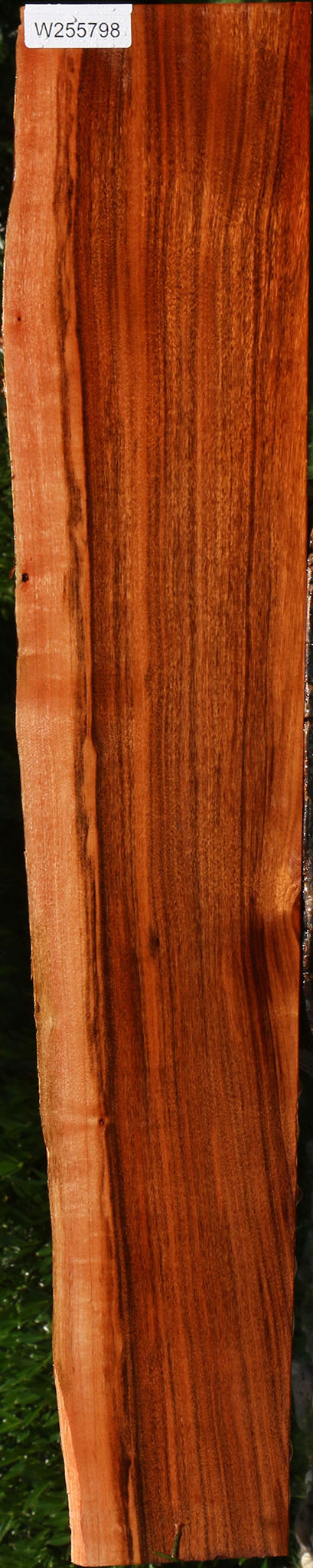 Patagonian Rosewood Live Edge Lumber